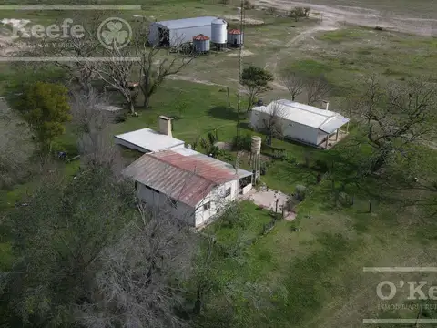 Campo Ganadero en venta - Calchaqui 1200 Has - Con frente sobre ruta