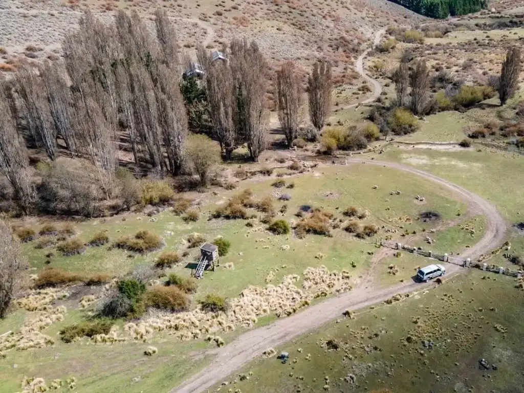 Campo sobre la ruta 40