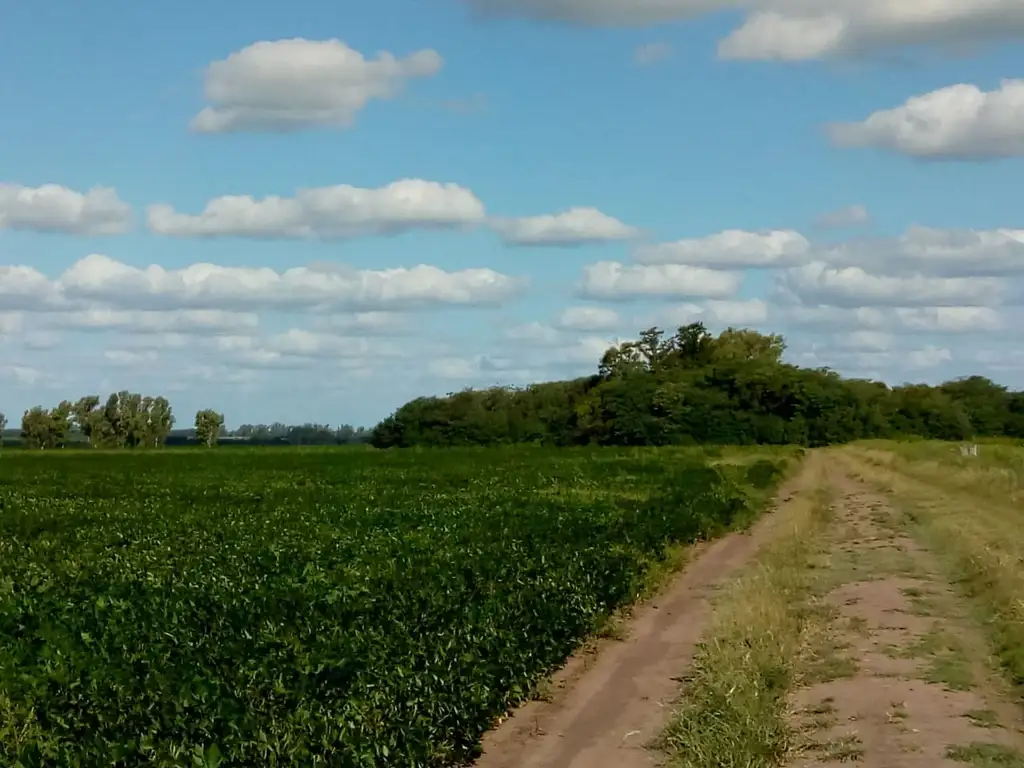 Vendo excelente campo agricola y ganadero, muy buen rinde, muy buena tierra, gran oportunidad