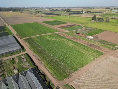 VENTA/PERMUTA/FINANCIACION - Campo - Rosario