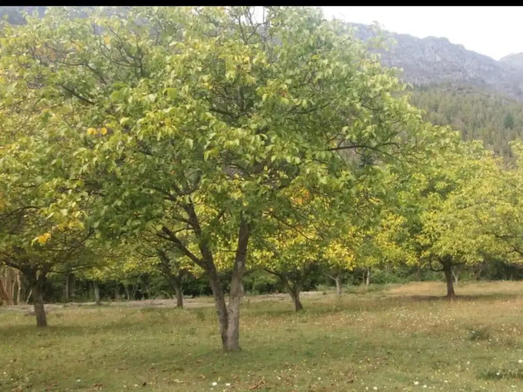 Lote en Venta en Kalfukó - Villa del Lago - Chubut