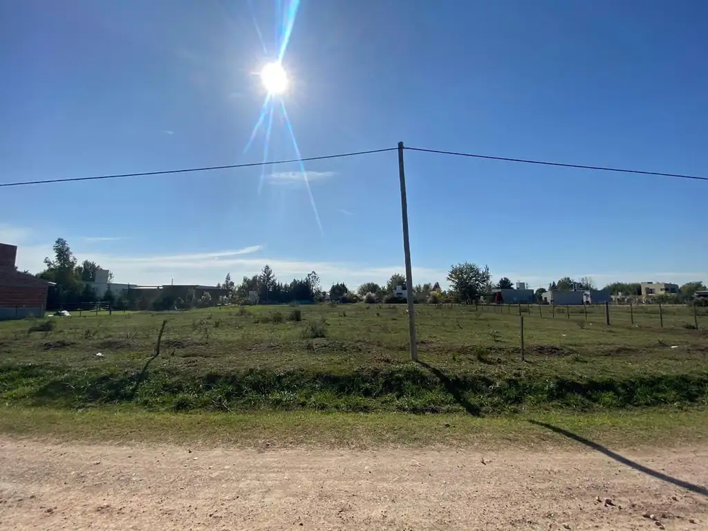 Lote - Venta - Argentina, Cañuelas