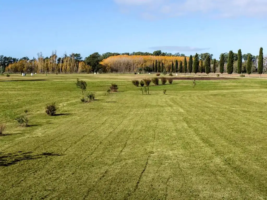 Campo - General Madariaga