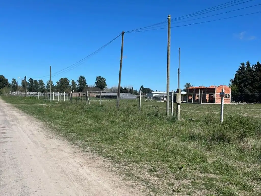 Lote - Venta - Argentina, Abasto