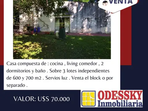 VILLA ADRIANA , CAÑUELAS -EN VENTA - QUINTA  S/ 3 LOTES , EN BLOCK O SEPARADO