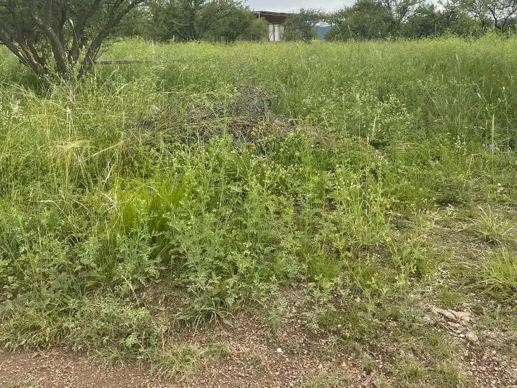 Hermoso terreno en Arroyo De Los Patos