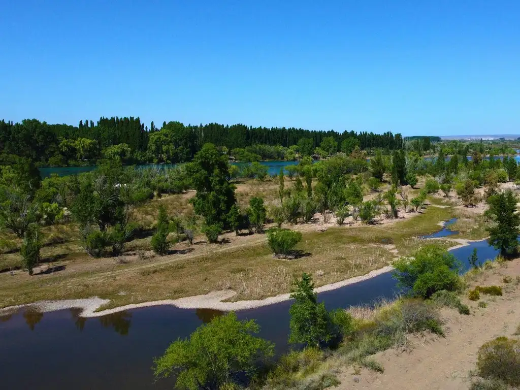 Isla en venta de 42 has, en Arroyito ,  Neuquen.