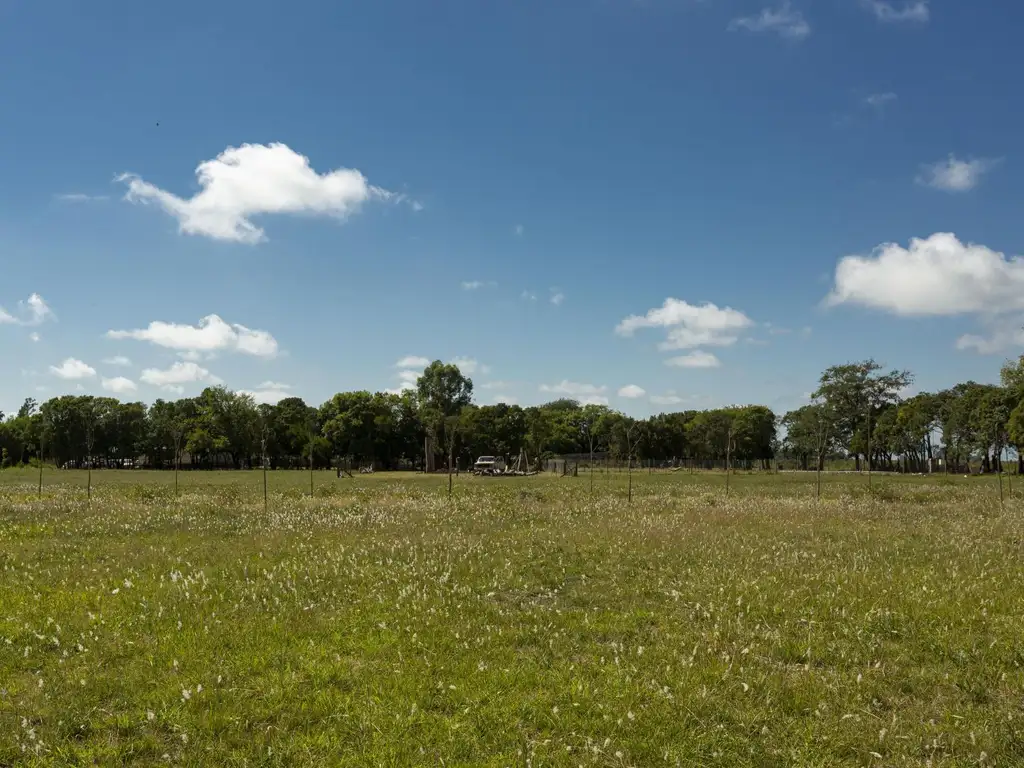 LOTE 37 VILLA CHICA