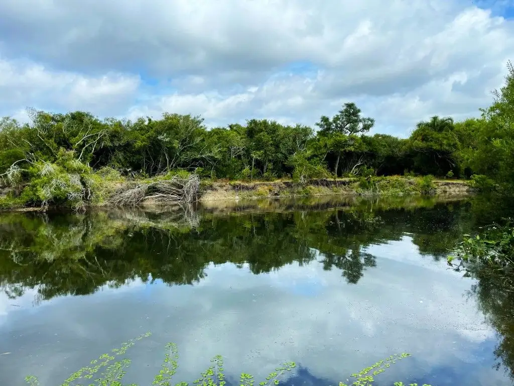 Campo - Venta - Uruguay, Maldonado - Ruta 9 y 5kms de camino vecinal 137