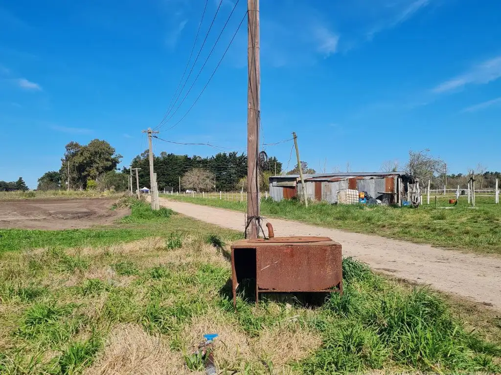 VENTA CAMPO EN ARANA (24 Hectáreas)