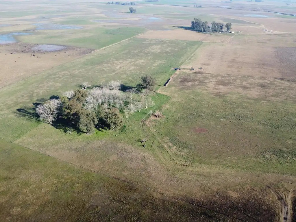 Campo en  Del Carril