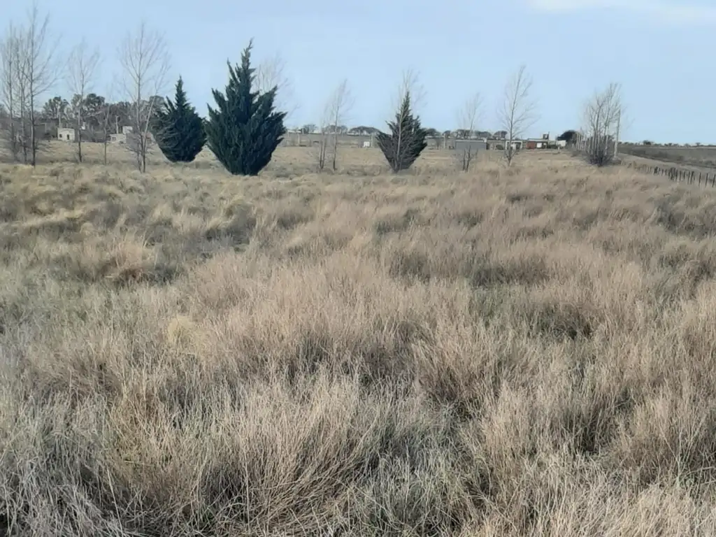 Terreno en Lemú Cuyen - Ataliva Roca - La Pampa