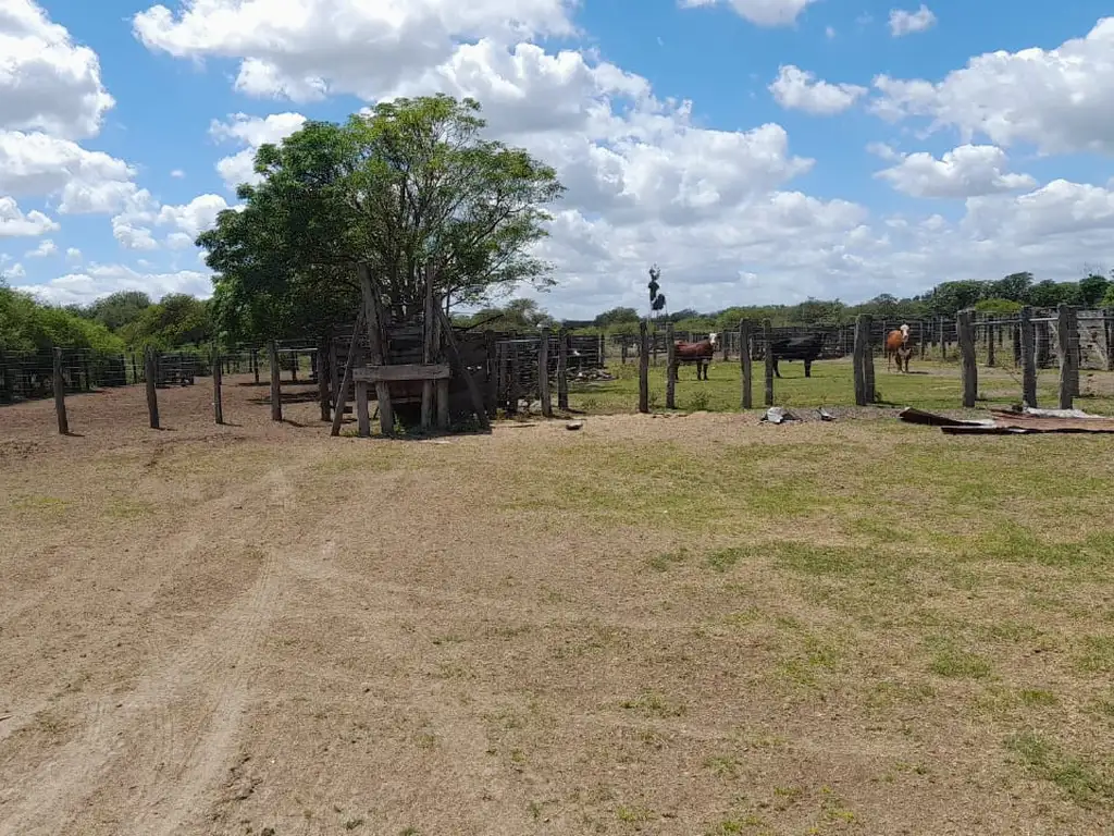 CAMPO GANADERO AGUARA  2110 HECTAREAS (PROVINCIA DE SANTA FE).