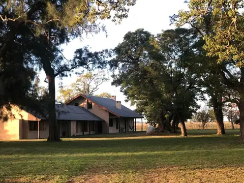 Alquiler Campo Estancia Mercedes Navarro BA