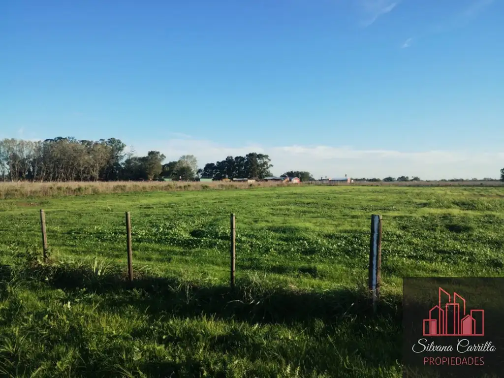 Hectárea ubicada en Virrey del Pino