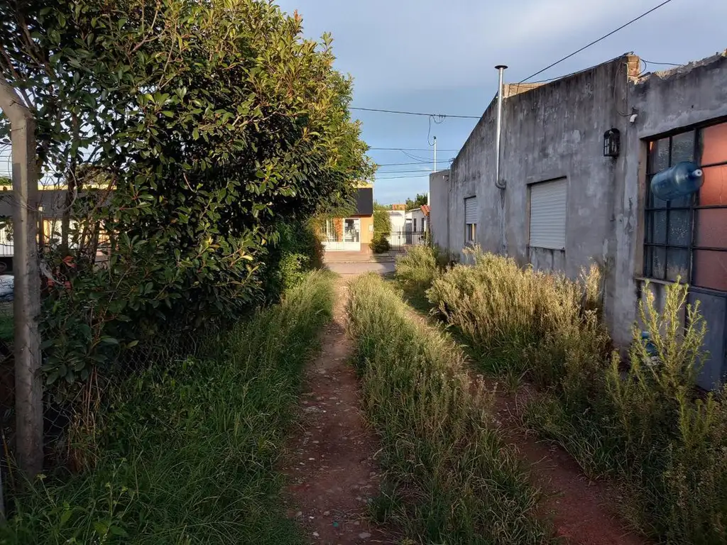 Terreno con todo lo plantado (Local, 3 casas y tinglado con taller)