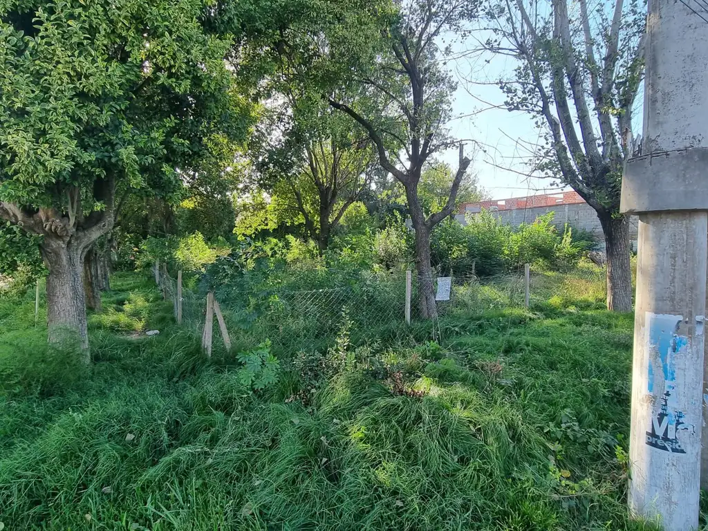 Terreno en  Venta o Alquiler - Camino a Derqui