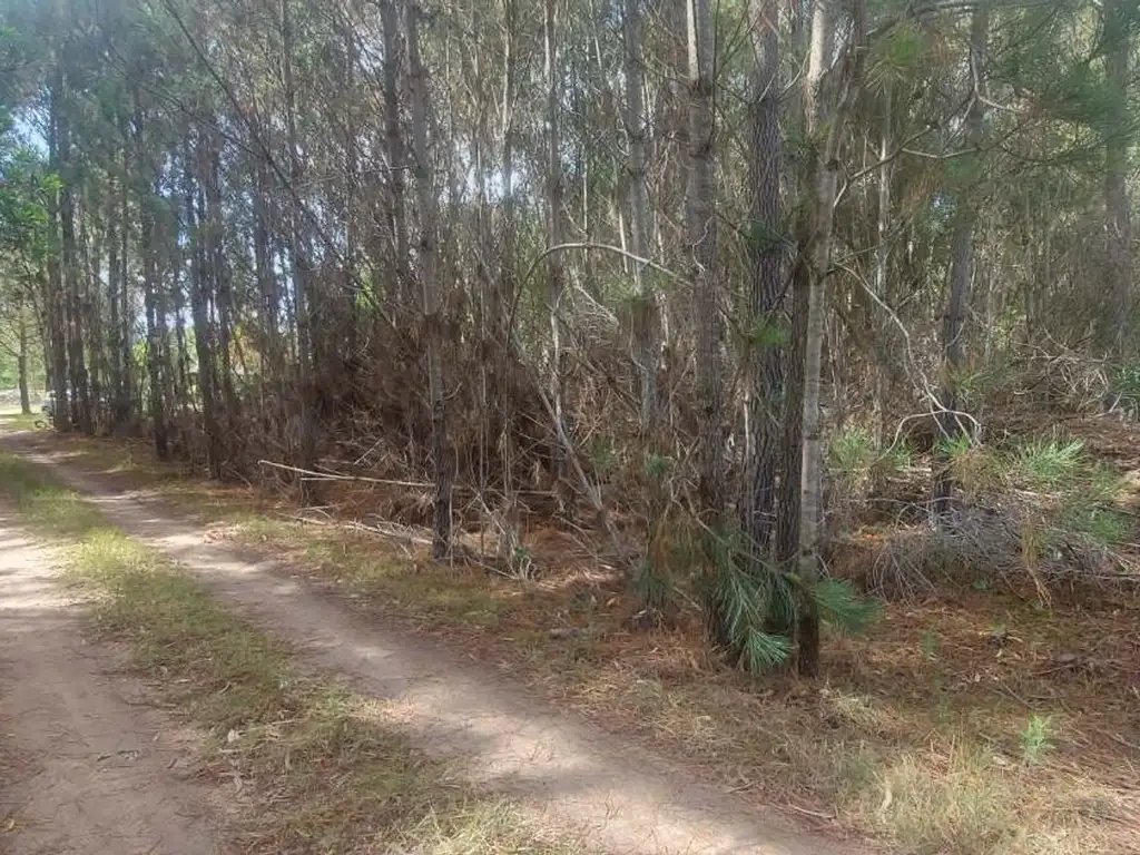 TERRENO EN VENTA EN EL CENTRO DE LA ESMERALDA