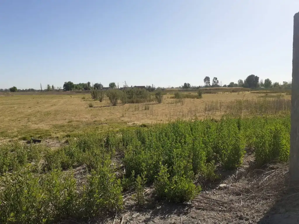 VENTA LOTE EN CORRALITOS