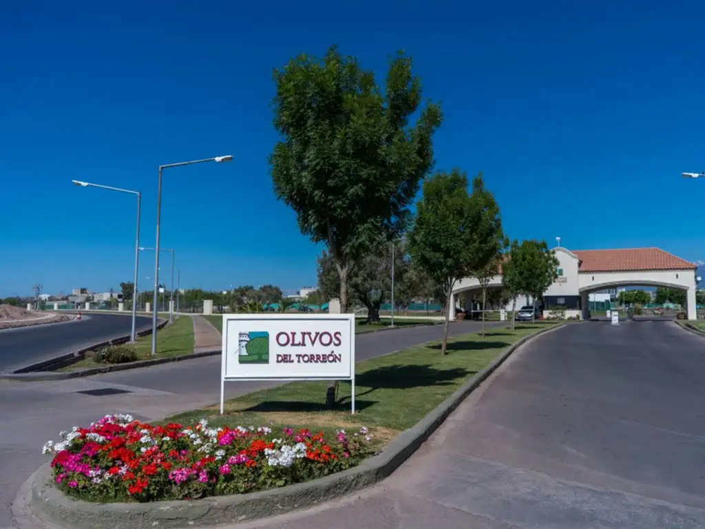 LOTE CENTRAL OLIVOS DEL TORREON 450M2