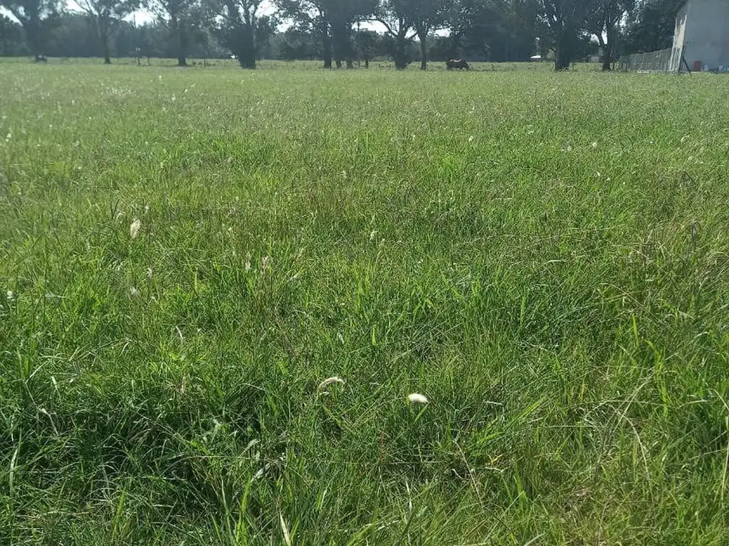 Terreno en Balneario Santa Elena