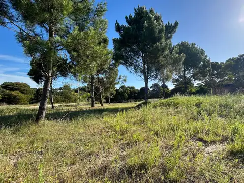 Lotes en las Gaviotas