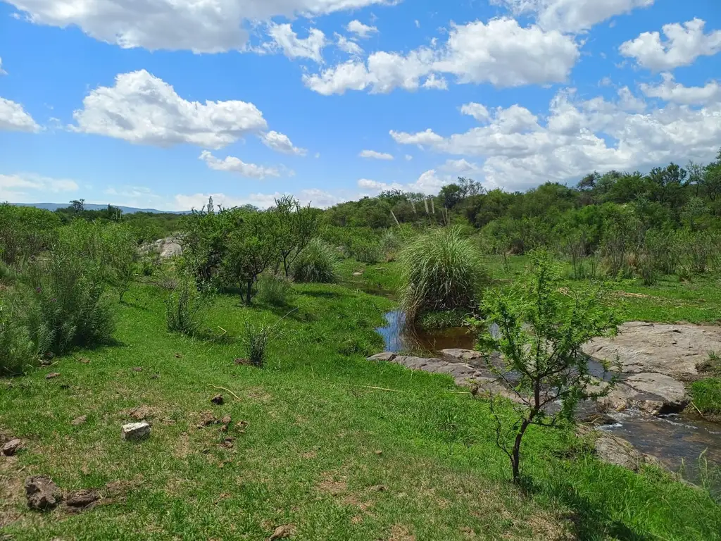 Salsacate Campo de 225 hectareas aprto cultivo Ganaderia Turismo