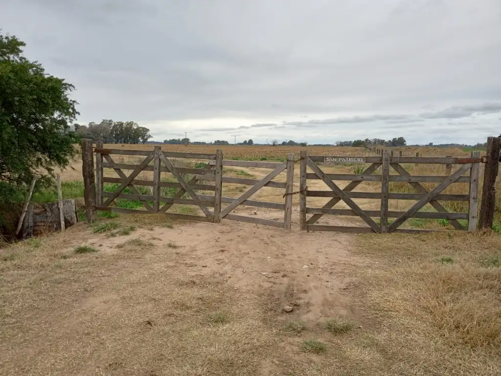 Venta Campo Agrícola Lobos - Pcia. de Buenos Aires - 60 Has a 1000 m del Asfalto