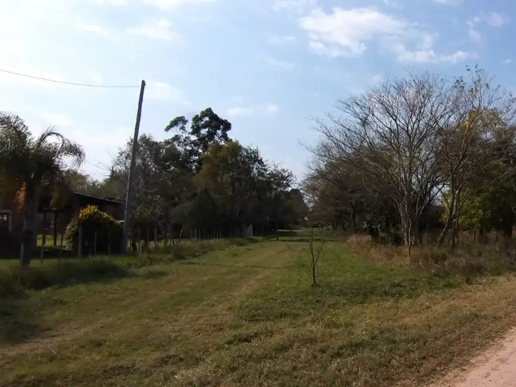 Con ustedes, una isla en Altos Verdes (1800m)