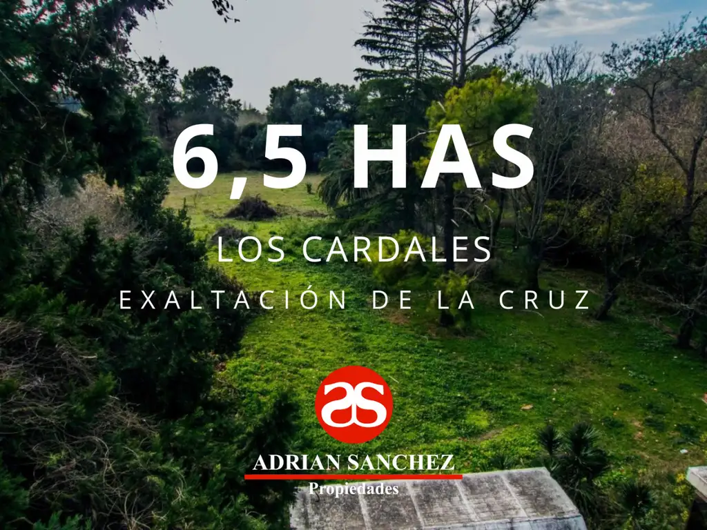 CHACRA DE 6,5 HAS. EN LOS CARDALES