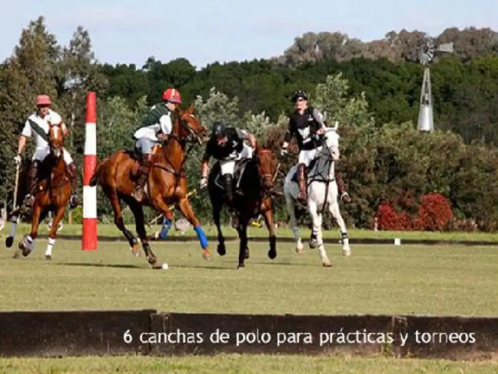 Chacra,Estancia La Benquerencia, San Miguel del Monte, polo, equitacion, club, turismo, hospedaje, C