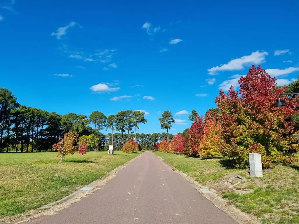 Terreno en venta - 1600mts2 - Los Pinares Country Club, Exaltación de la Cruz