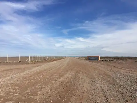 Venta16 hectareas | Parque Industrial Añelo Vaca Muerta