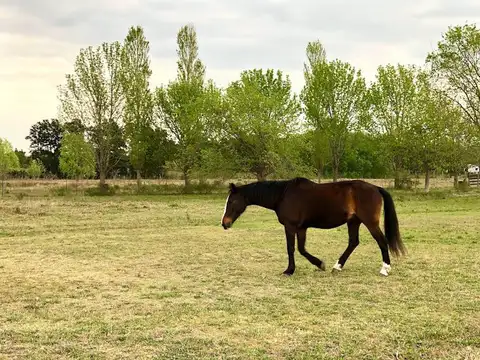 LOTES FINANCIADOS - Barrio El Paso  Del Viso