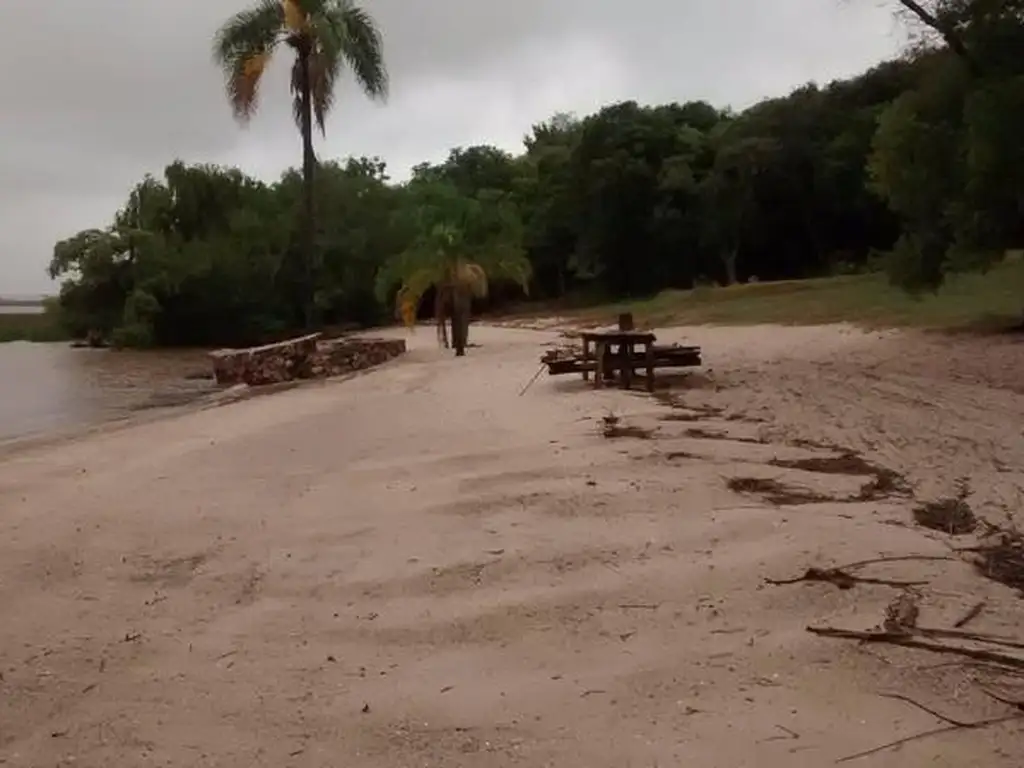 Lotes en Barrio de Chacras "El Olivo". 1 hectarea cada uno.