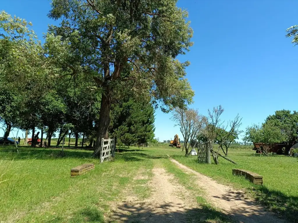 Venta Campo en Baradero 78 Hectareas