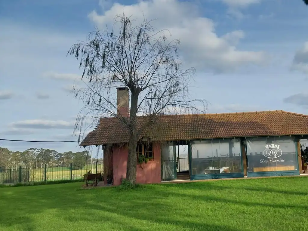 CAMPO EN URUGUAY CON HARAS  A 30 KM DE MONTEVIDEO