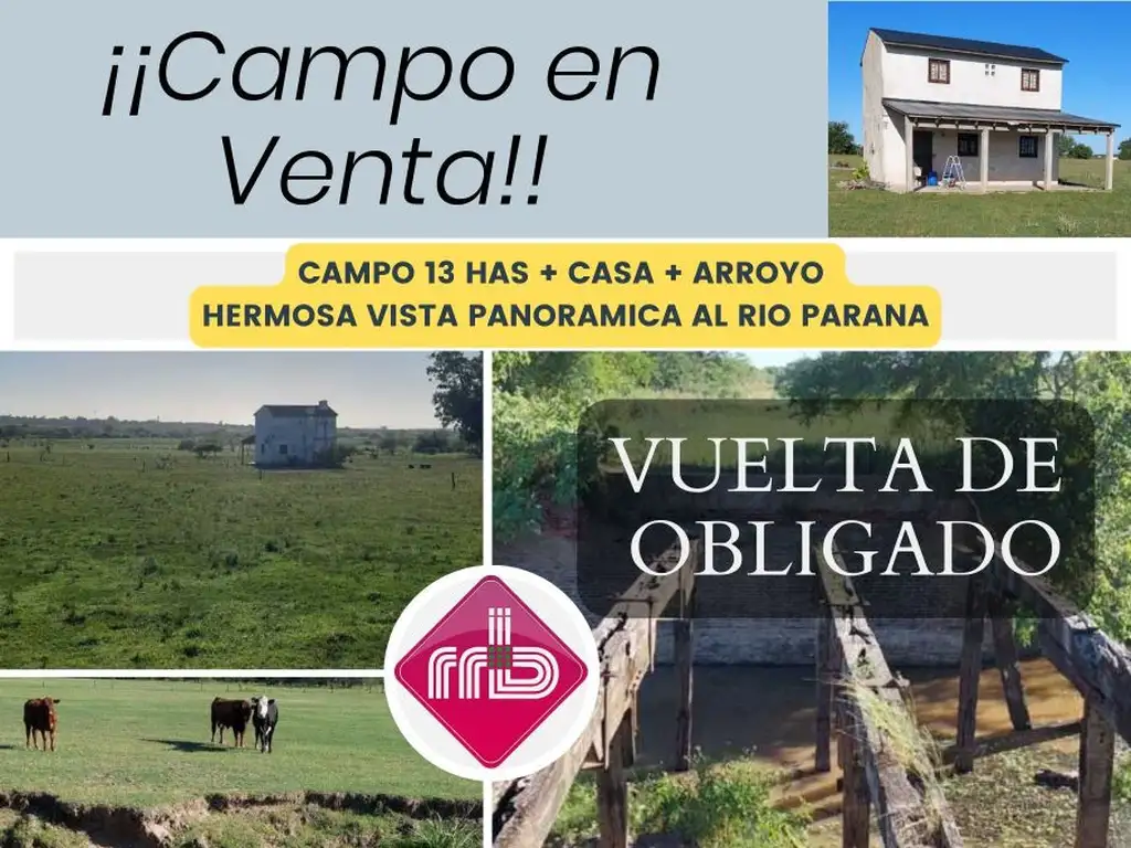 CAMPO 13 HECTAREAS CON VISTA AL RIO PARANA - VUELTA DE OBLIGADO