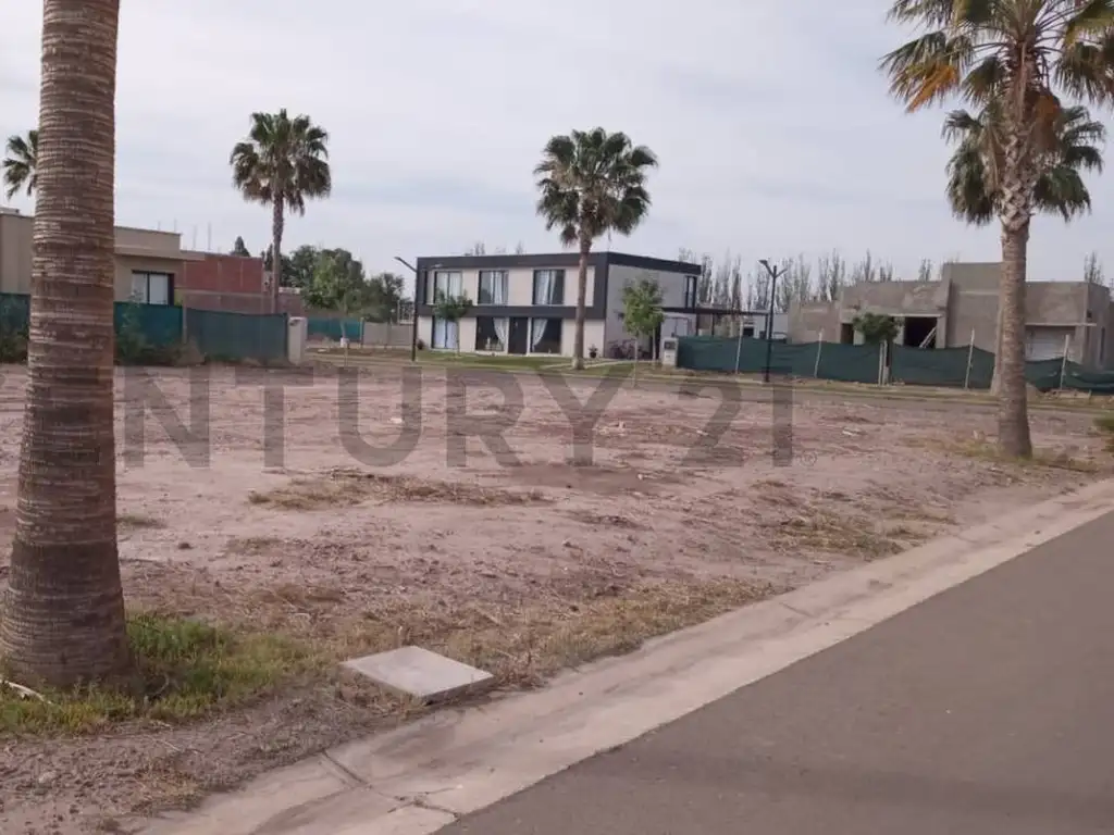 Terreno Venta 15mts frente 34mts fondo Vieytes Entre Palma Y 25