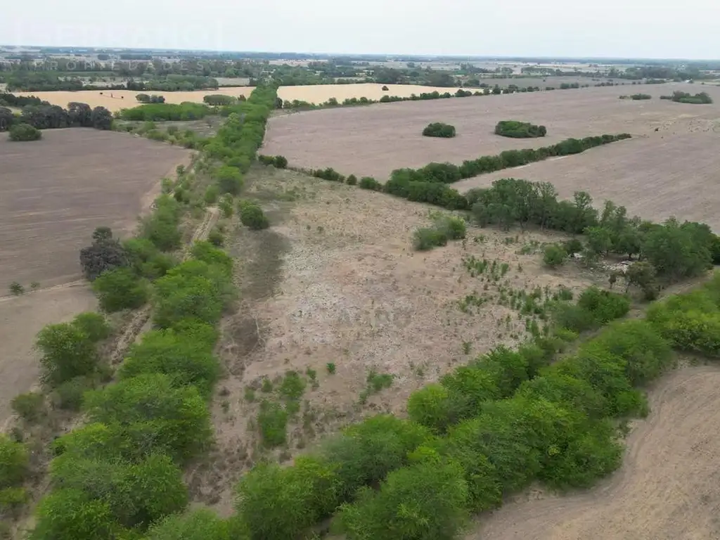 Venta Campo 5,6 hectáreas Ruta Provincial 6 km 169.500 excelente ubicación Partido de Luján