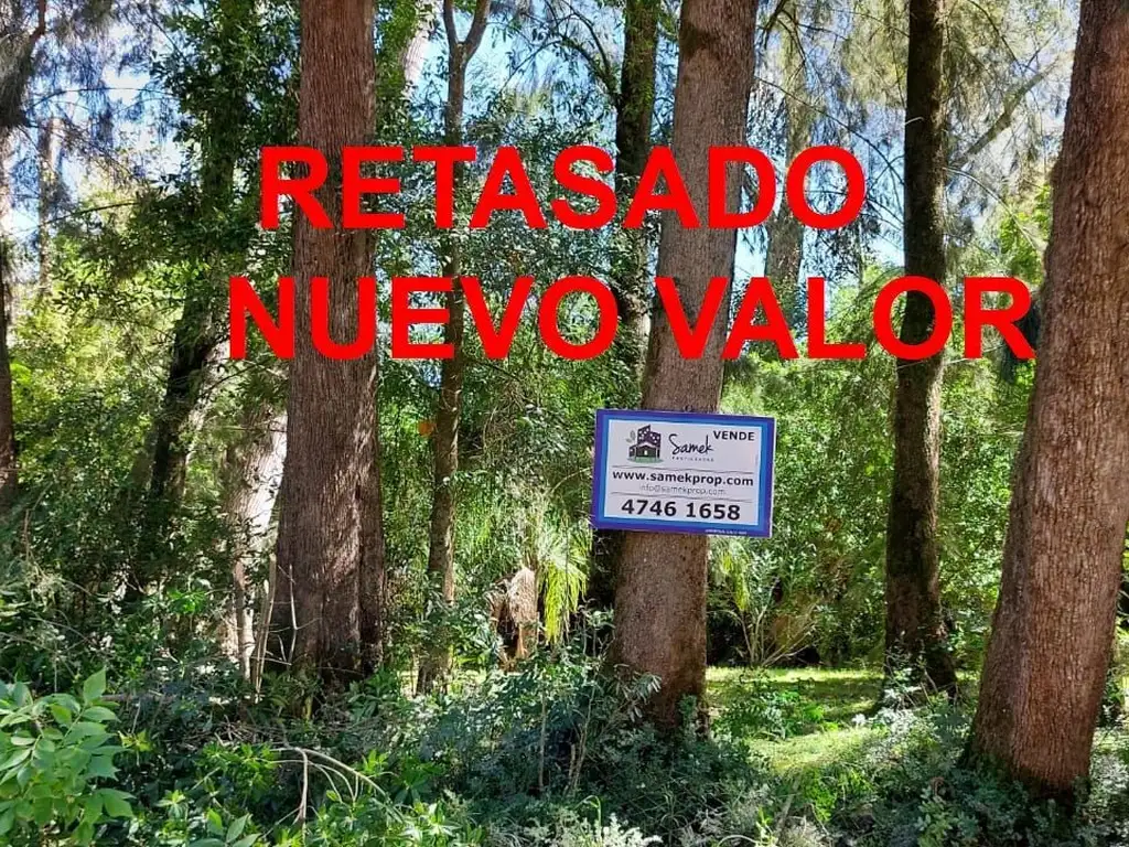 Terreno Lote  en Venta en Carapachay, Vicente López, G.B.A. Zona Norte