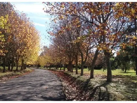 Terreno en Venta