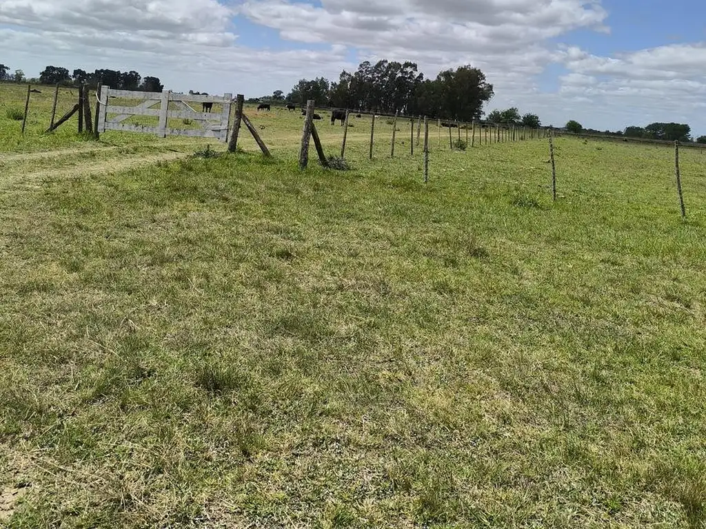 CAMPO EN Venta SAN MIGUEL DEL  MONTE Acceso directo ruta 41 y secundario por ruta 3