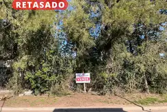 OPORTUNIDAD : LOTE EN CENTRO LOS CARDALES: ¡Muy arbolado!