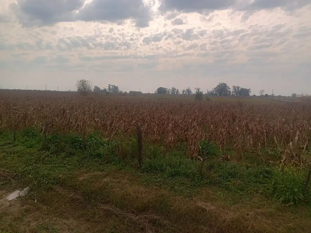 Campo en Ruta 70, al Este de Esperanza. 2 Has.