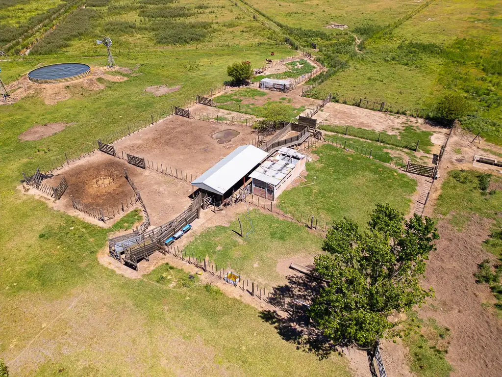 CAMPO FEEDLOT VENTA DIVERSOS USOS COMERCIALES PUEBLO MUÑOZ