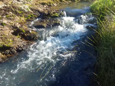 VENTA DE CAMPO AGUAS BLANCAS, MINAS,CASA DE 2 DORM