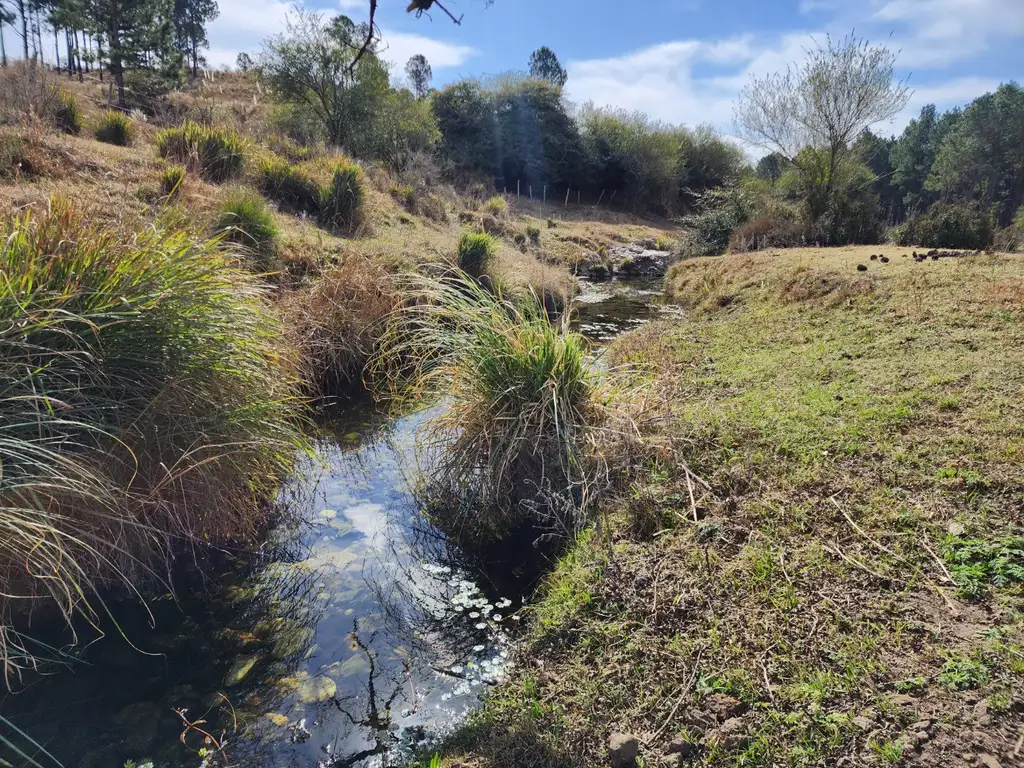 HERMOSO LOTE EN POTRERO DE GARAY CON ARROYO