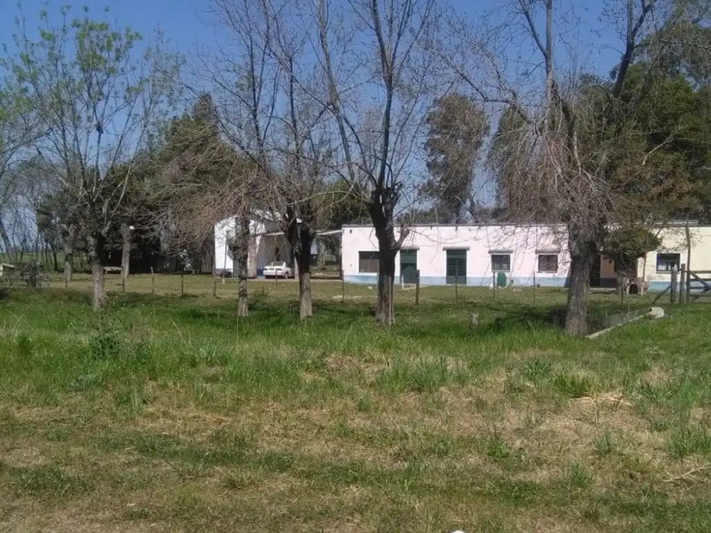 Chacra de 2 1/2 ha en Gral Belgrano