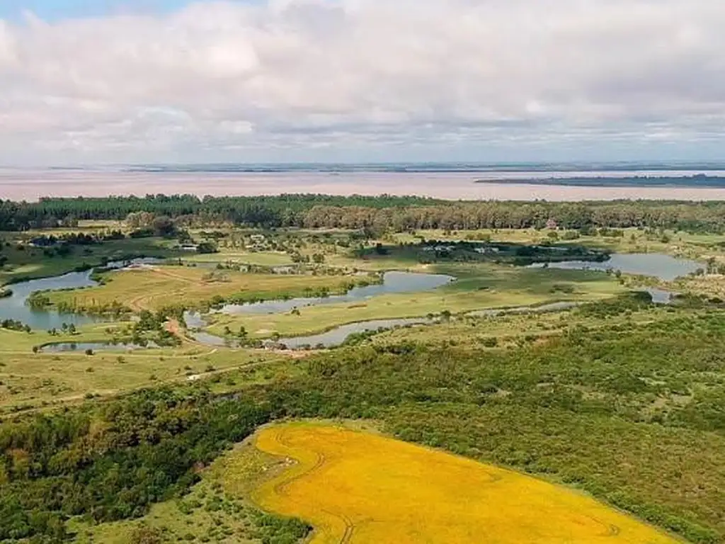 Campo en Zagarzazu